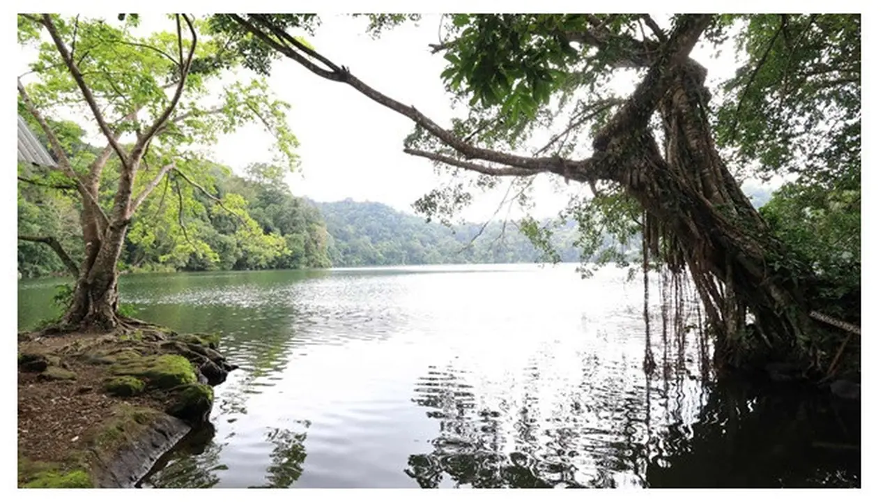Jarang Diketahui, Ini 5 Spot Wisata Menarik di Pulau Bawean