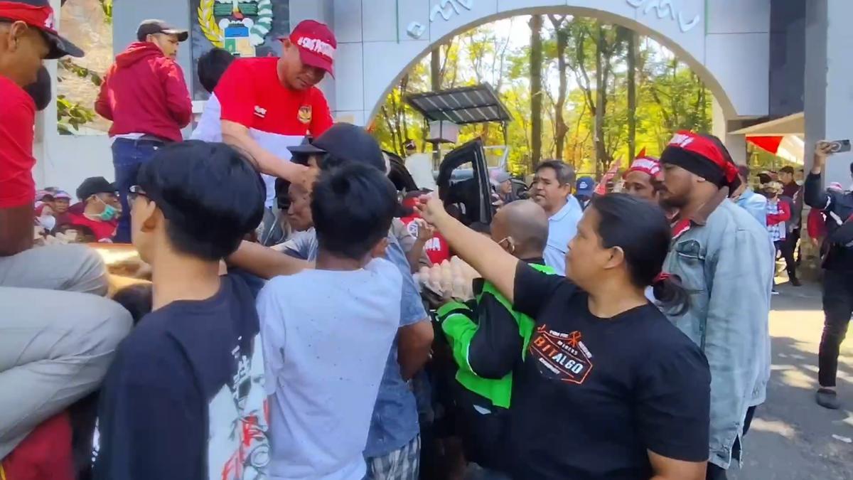 Peternak di Sulsel Menjerit, Ayam dan Telur Dibagikan Gratis daripada Dijual Rugi