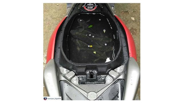 Fungsi Bagasi Motor Ini Bikin Geleng-geleng