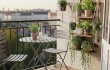7 Model Balkon Mini ala Kafe Bikin Sudut Nongkrong di Rumah Jadi Cozy dan Instagramable