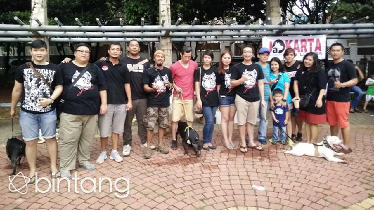 Jakarta Bully Club, Tempatnya Para Pecinta Anjing American Bully