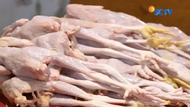 Hampir sepekan Ramadan, harga ayam di Jakarta dan Serang, Banten, mulai naik. Akibatnya minat pembeli turun, dan pendapatan pedagang pun sepi.