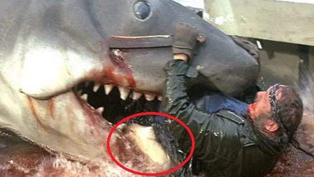 Jaws