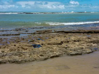 Gambar yang dirilis pada 7 Oktober 2019 memperlihatkan minyak tumpah di pantai Pontal de Coruripe di Coruripe, negara bagian Alagoas, Brasil. Tumpahan minyak yang telah mengering sejak beberapa pekan terakhir telah mencemari 132 pantai di kawasan timur laut Brasil. (HO/IBAMA/AFP)