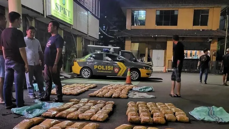 Satuan Narkoba Polres Metro Jakarta Barat menyita ratusan kilogram daun ganja dari jaringan narkotika lintas Sumatera-Jawa.
