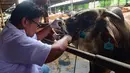 Pemeriksaan kesehatan menjadi hal penting karena daging hewan kurban akan dikonsumsi oleh banyak orang, termasuk anak-anak dan orang dengan kondisi tertentu. (merdeka.com/Arie Basuki)
