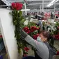 Seorang pekerja mengklasifikasikan mawar untuk dikirim menuju AS menjelang Hari Valentine, di perusahaan bunga Colibri di El Rosal, Kolombia, 25 Januari 2022. Kolombia menjadi salah satu negara terbesar penyuplai bunga di Hari Valentine. (AP Photo/Fernando Vergara)