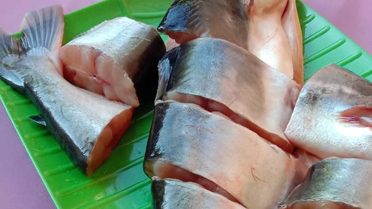 Cara Ampuh Mengolah Ikan Patin, Dijamin Tidak Amis dan Pasti Lezat