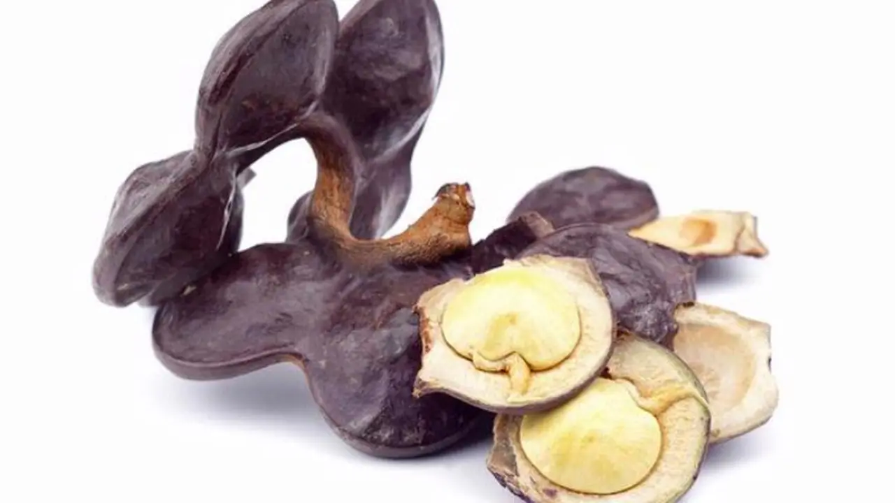 Jengkol, Bau Namun Kaya Akan Manfaat