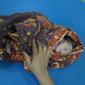 Warga Desa Marisa Utara, Kecamatan Marisa, Kabupaten Pohuwato, Gorontalo, menemukan bayi berlumur darah dengan tali pusar belum terpotong. (Liputan6.com/ Arfandi Ibrahim)
