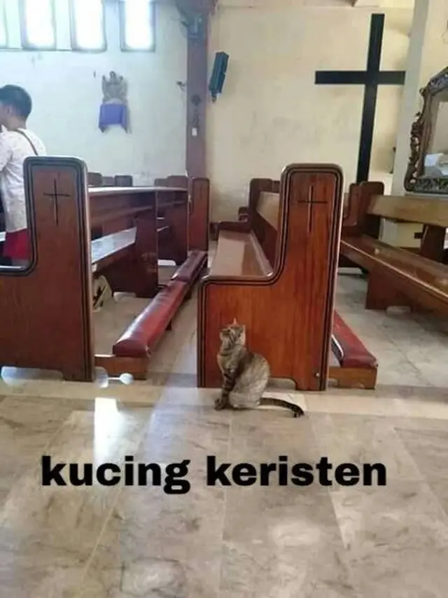9 Potret Gemas Kucing Temani Orang Beribadah Ini Anteng Banget