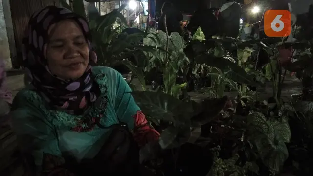 Udosia (57 th) salah satu penjual tanaman hias