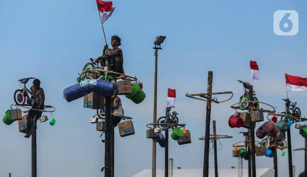 Ada 51 pohon pinang yang siap dipanjat saat lomba yang dilakukan secara serentak dilakukan di Pantai Festival pada Sabtu, 17 Agustus 2024, pukul 13.00 WIB, dan dua pohon di Atlantis Ancol pukul 12.15 WIB. (Liputan6.com/Angga Yuniar)