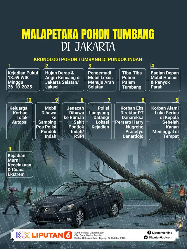 Infografis Malapetaka Pohon Tumbang di Jakarta.