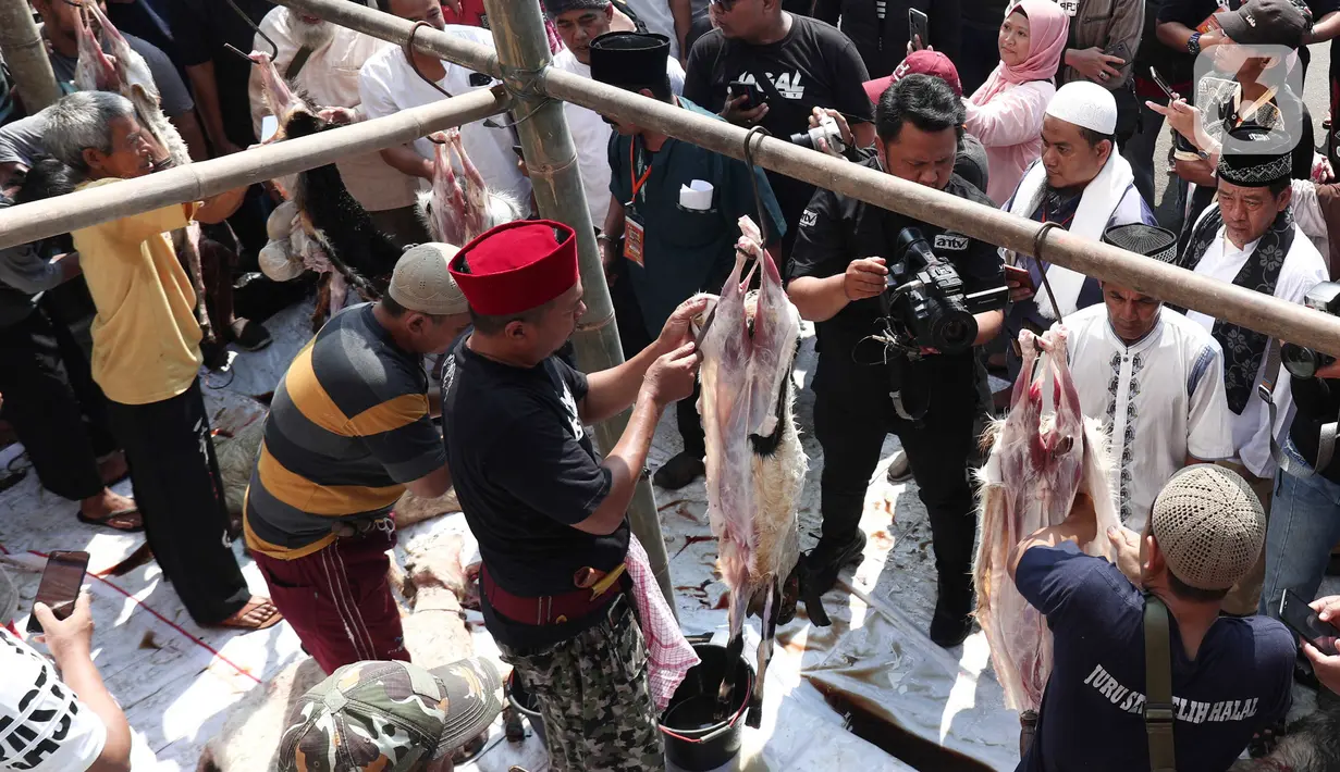 Sejumlah warga mengikuti lomba menguliti kambing dalam Lebaran Tenabang 2022 di kawasan Tanah Abang, Jakarta, Sabtu (4/6/2022). Kegiatan yang menampilkan berbagai kesenian Betawi, makanan tradisional, perlombaan, dan bazar UMKM itu mengangkat tema KolaborAksi. (Liputan6.com/Angga Yuniar)