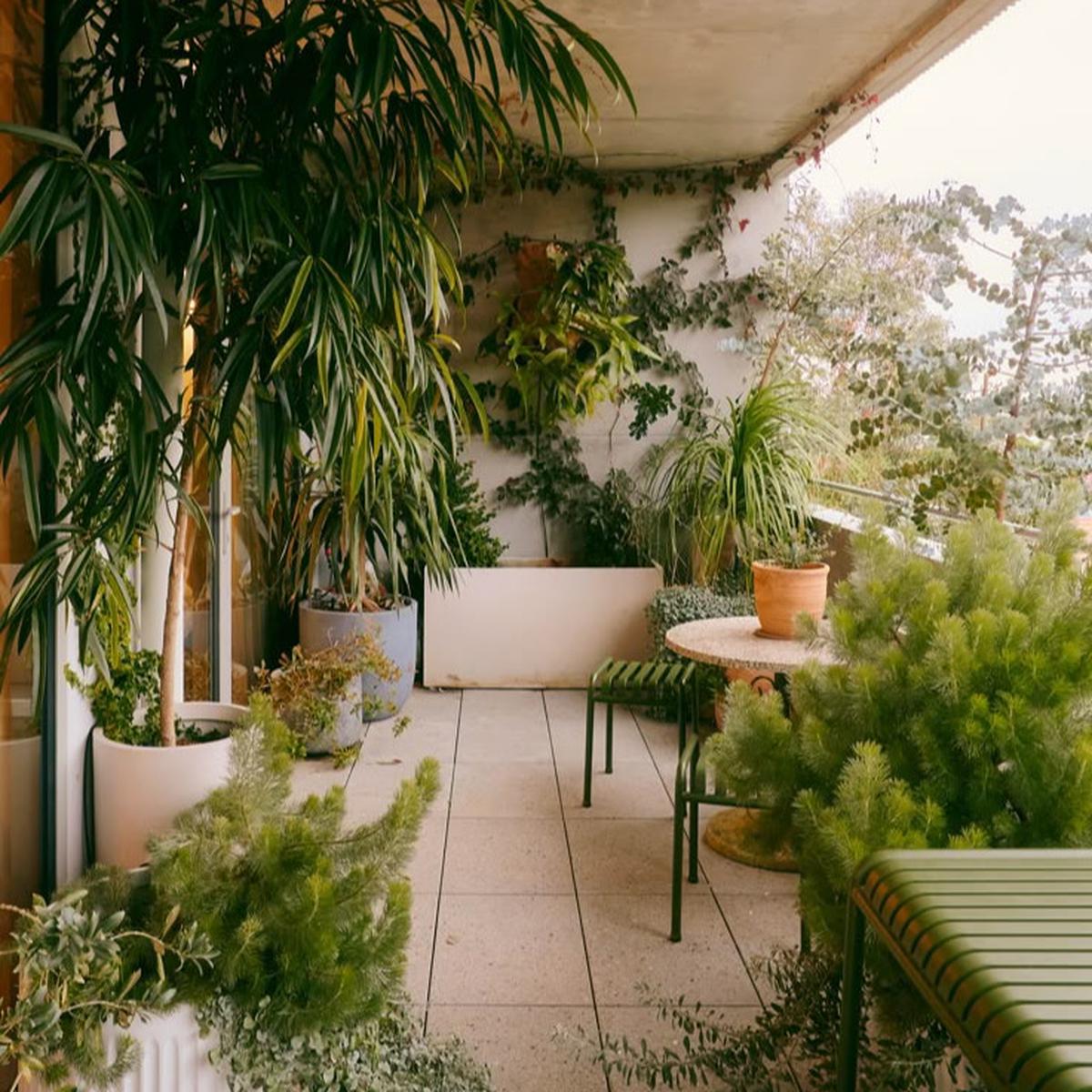 Ilustrasi Taman Rimbun di Balkon (©Pinterest)