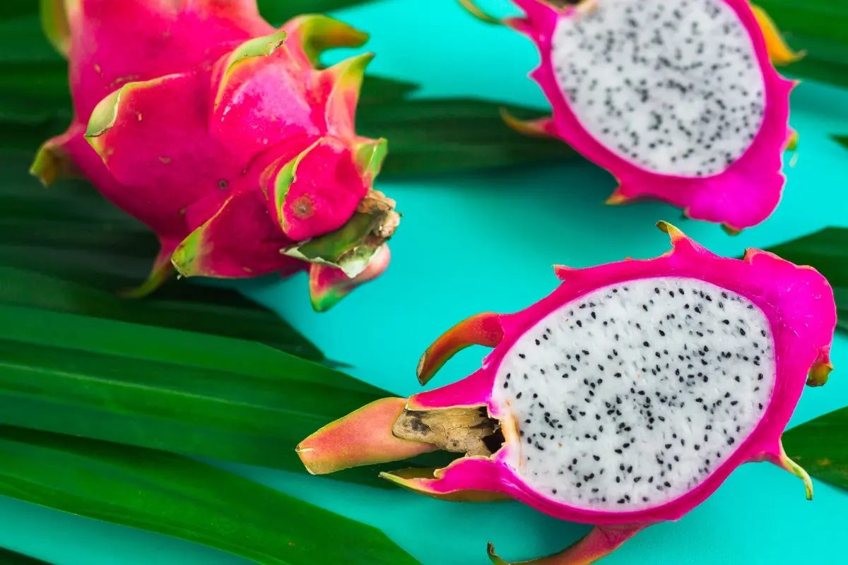 Buah Naga