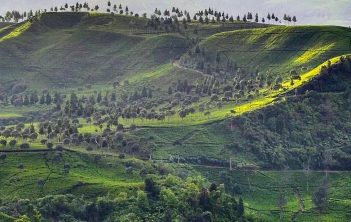 6 Fakta Menarik Gunung Batu Ciwidey di Perbatasan Bandung dan Cianjur