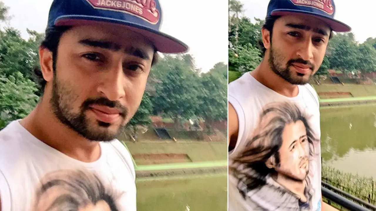 Shaheer Sheikh 