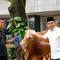 Menteri Kebudayaan (Menbud) menyerahkan sapi kurban secara simbolis mewakili Kemenbud untuk menyambut Hari Raya Idul Adha 1447 H. (dok. Biro Humas Kemenbud)