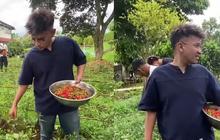 Ruben Onsu Coba Berkebun, Baru Saja Panen Cabai yang Segar