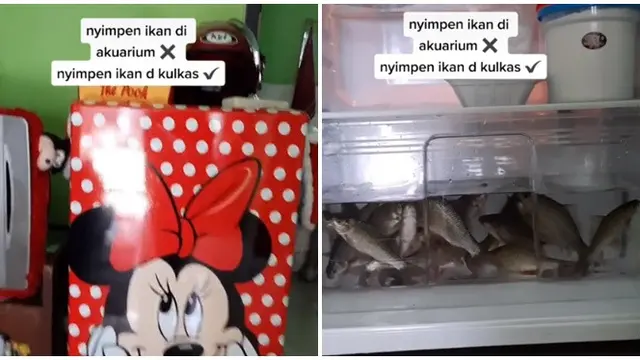 Jadikan Kulkas Sebagai Pengganti Akuarium, Aksi Wanita Ini Bikin Geleng Kepala