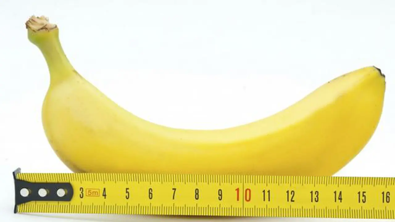 Ilustrasi Penis