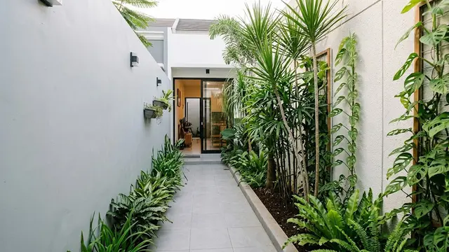 Taman Tropis dengan Tanaman Ramping