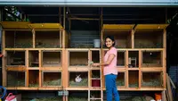 Cara Ternak di Rumah Tanpa Mengganggu Tetangga