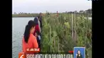 Kebun melon Cak Wung di Desa Dororejo, Pati, Jawa Tengah, bisa dijadikan tempat ngabuburit asyik untuk memetik buah melon.