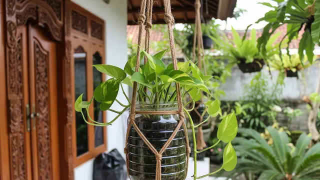 Pot dari Toples Plastik Biskuit