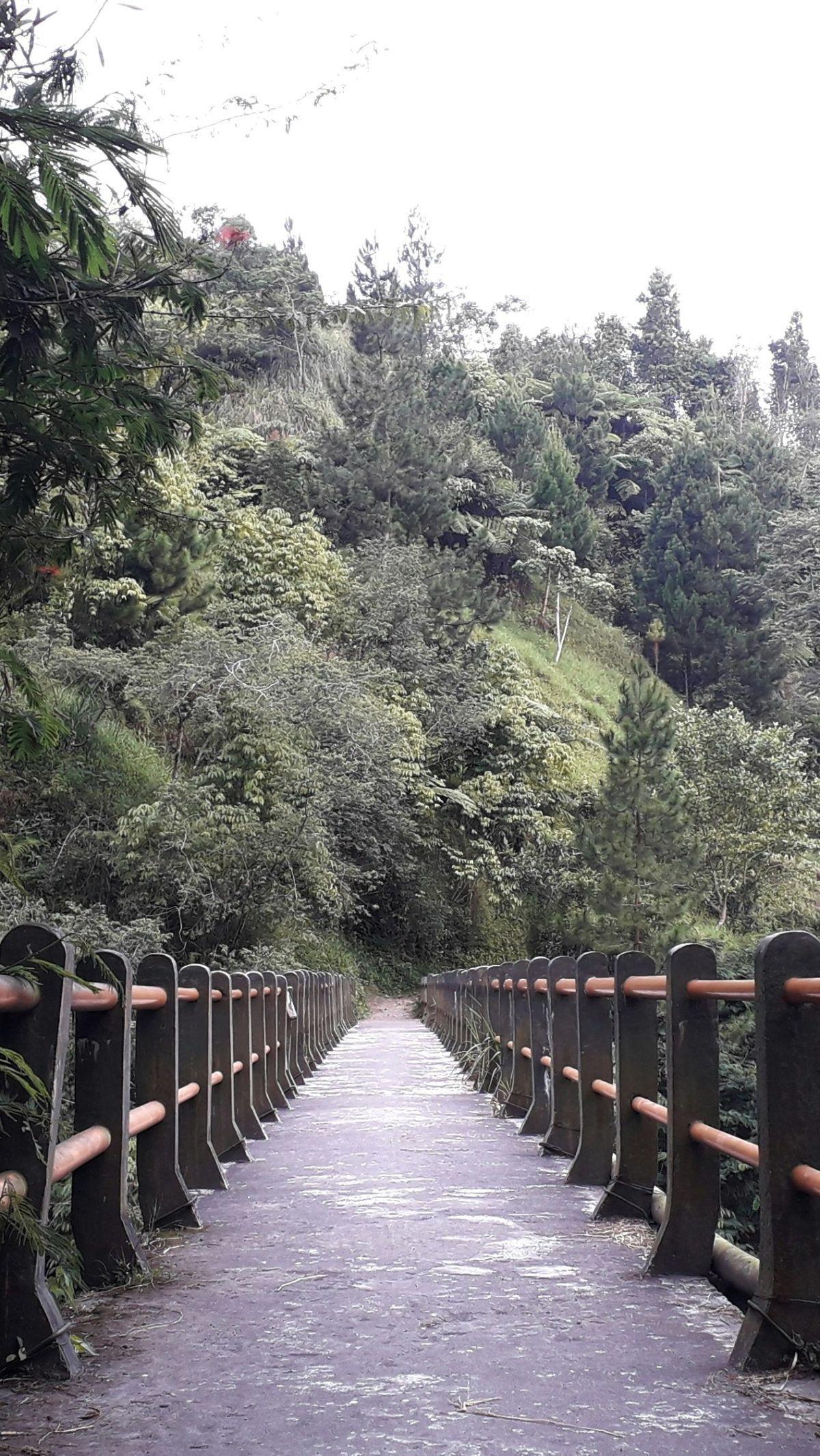 <b>9. Plunyon Kalikuning</b>