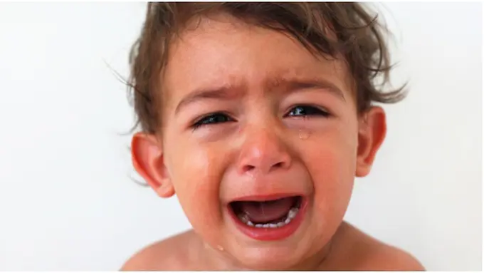 Foto: copyright thinkstockphotos.com