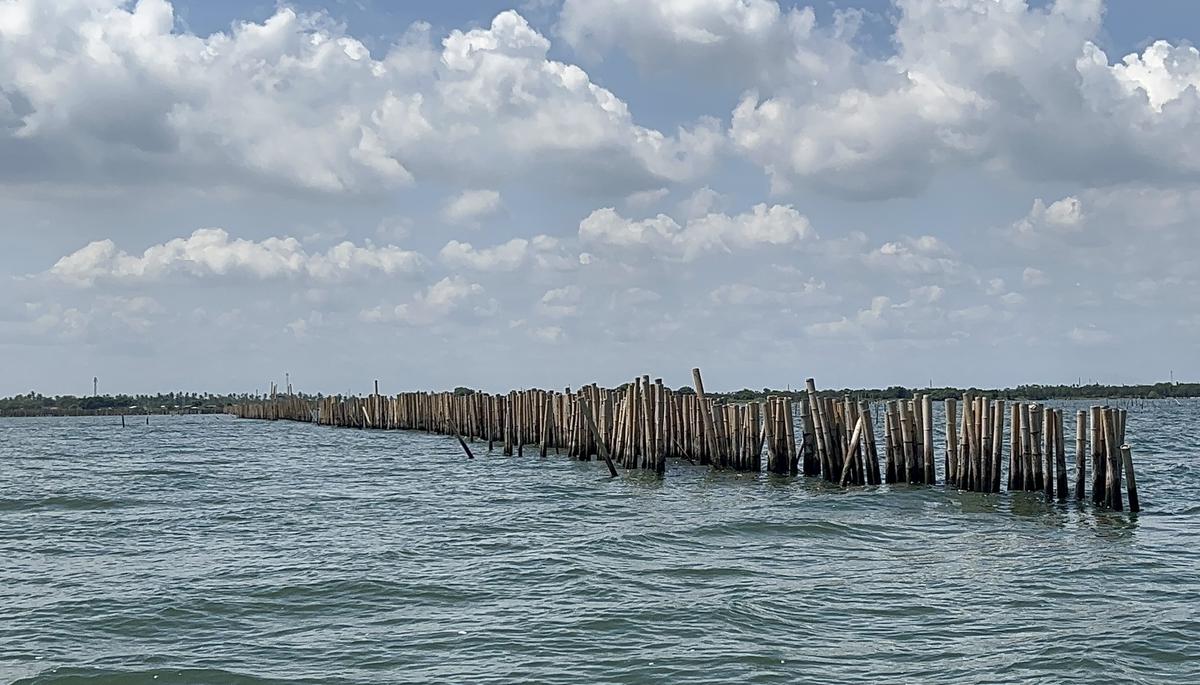 pagar laut di kohod
