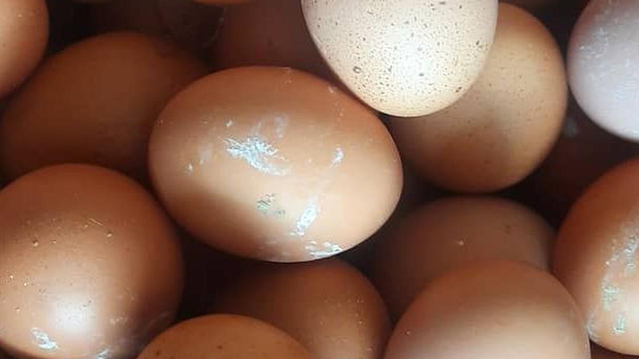 Jangan Dicuci, Ini Cara Jaga Higienitas Telur dengan Tepat Selama Disimpan