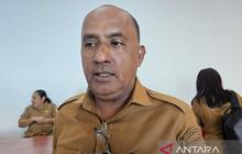 Pemprov Papua Siapkan Skema Kapal Bersubsidi Papua, Perkuat Konektivitas Antardaerah