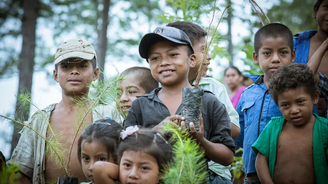 6. Buat Proyek Kecil di Rumah atau Sekolah