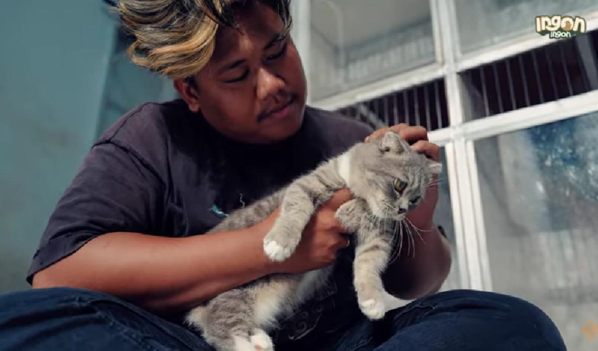 Kucing sebagai Teman
