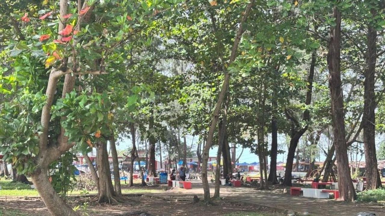 Pembangunan Gazebo Pantai Bengkulu: Pemkot Alokasikan Rp1 Miliar untuk 100 Unit Fasilitas Wisata