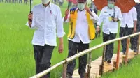 Presiden Joko Widodo bersama rombongan, meninjau lumbung pangan (Food Estate) di Desa Makata Keri, Kecamatan Katiku Tana, Kabupaten Sumba Tengah, NTT. (Foto Istimewah)