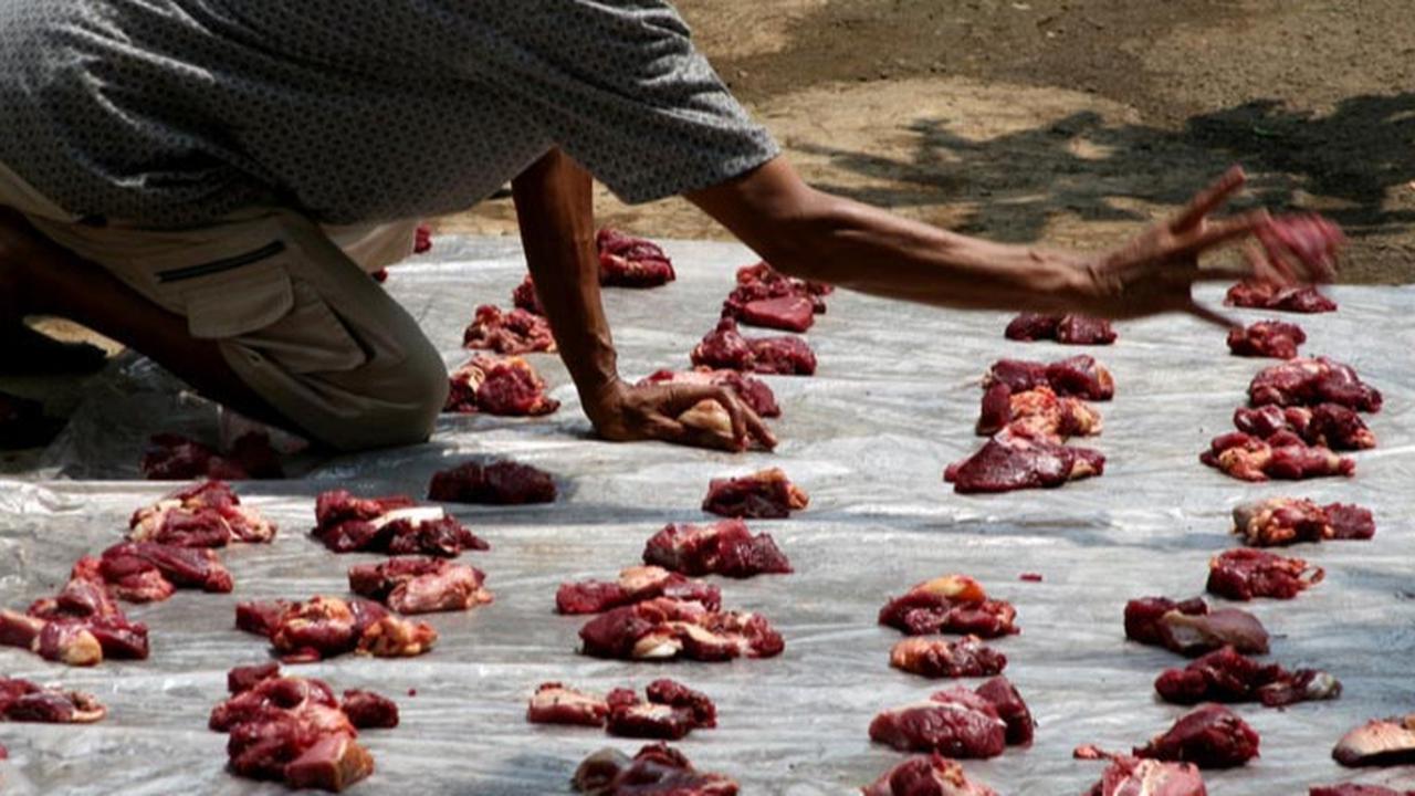 Kolesterol Tinggi atau Asam Urat, Siapa yang Berisiko saat Makan Daging Kurban Idul Adha 2025?