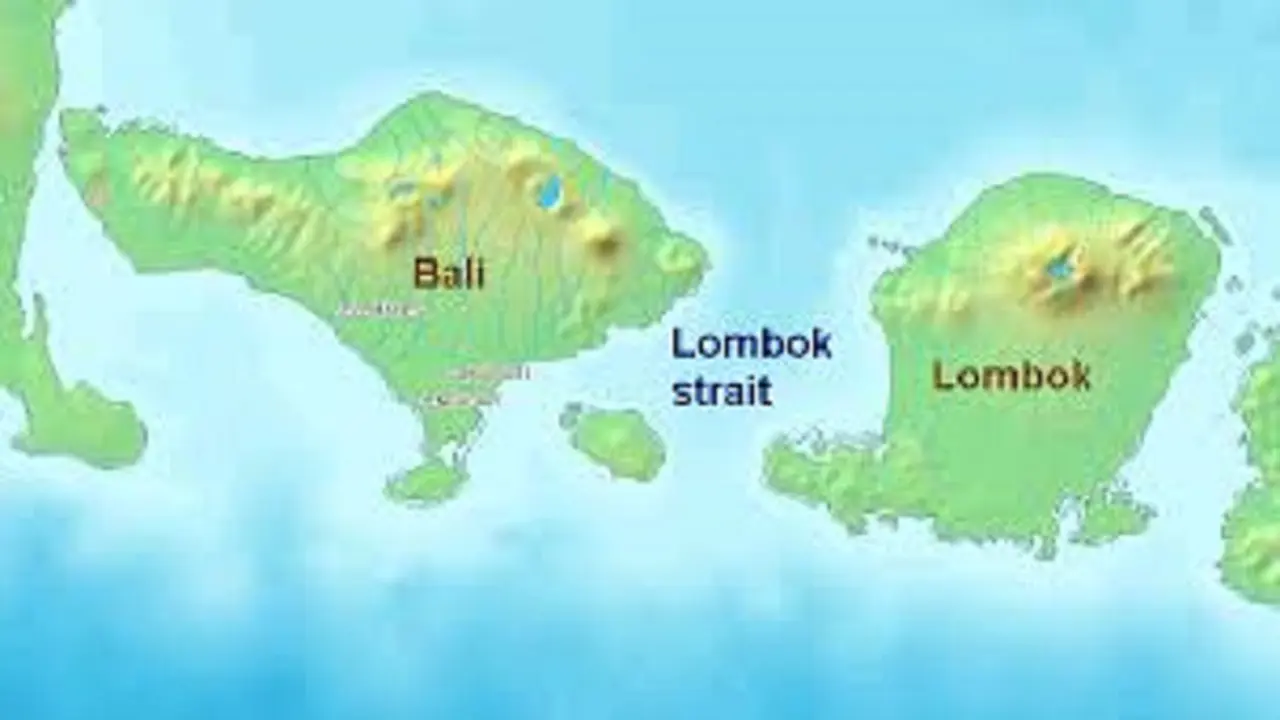 Strategi Bea Cukai Bila Jalur Pelayaran Pindah ke Selat Lombok