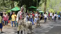 Keeper Taman Safari Indonesia menggunakan pakaian pejuang untuk memperingati HUT ke-70 RI. (Liputan6.com/Bima Firmansyah)