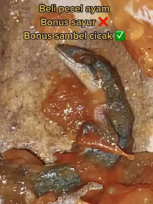 Bikin Mual, Gadis Ini Temukan Cicak Mati di Sambal Pecel Ayam yang Dibelinya