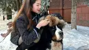 Potret gemas lainnya menampilkan Gwen Ashley bermain dengan seekor anjing di tengah salju. Ia mengenakan tweed jacket hitam dipadu dengan legging hitam transparan dan high boots yang juga berwarna hitam. [Foto: Instagram/gwen_ashley]