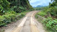 Kementerian PUPR membangun 29 jembatan di ruas Merauke-Sorong Kabupaten Teluk Wondama, Papua Barat. (Dok Kementerian PUPR)