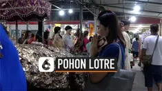Penduduk thailand berbondong-bondong mengunjungi kuil setiap bulan untuk menyembah pohon Horea Odorata. Pohon keramat ini dipercaya penuh dengan keberuntungan, salah satunya untuk memenangkan lotre.