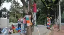 Seniman memasang rajutan kain di pohon dekat lokasi Taman Pandang Istana, Jakarta, Jumat (29/7). Penghiasan dilakukan jelang diresmikannya Taman Pandang Istana. (Liputan6.com/Yoppy Renato)