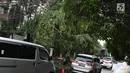 Pengendara menghindari pohon tumbang yang menutupi sebagian jalan di kawasan Cikini, Jakarta, Kamis (22/11). Pohon tumbang tersebut menyebabkan sejumlah pohon tumbang dan mengganggu arus lalu lintas. (Liputan6.com/Immanuel Antonius)