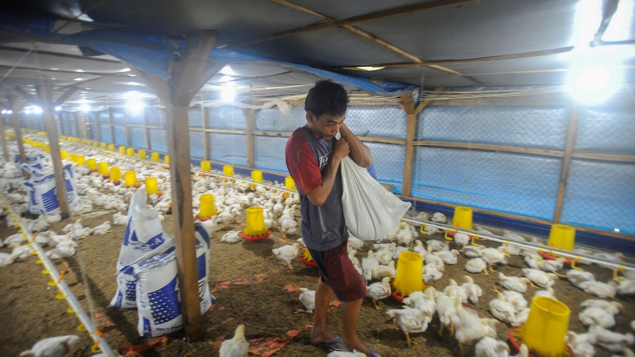 Program EA untuk Kemandirian Pangan Nasional
